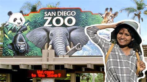 san diego zoo youtube